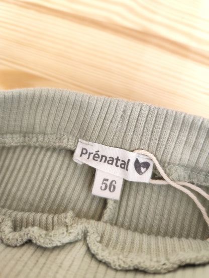 Prénatal Leggings - gerippt - Größe 56