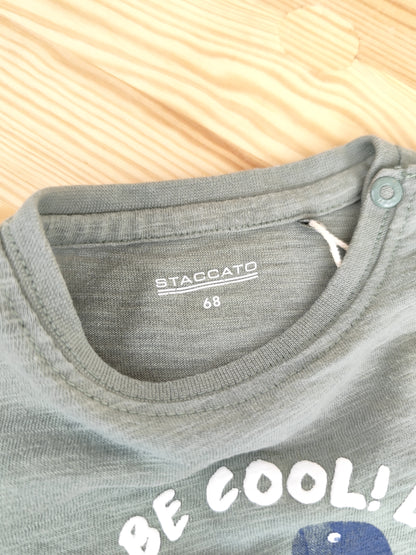 Staccato T-Shirt - Dino - Größe 68