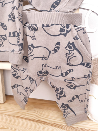 H&M Set - Waschbär - Größe 68