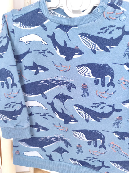 Feetje Pullover - Wal - Größe 92 (B-Ware)