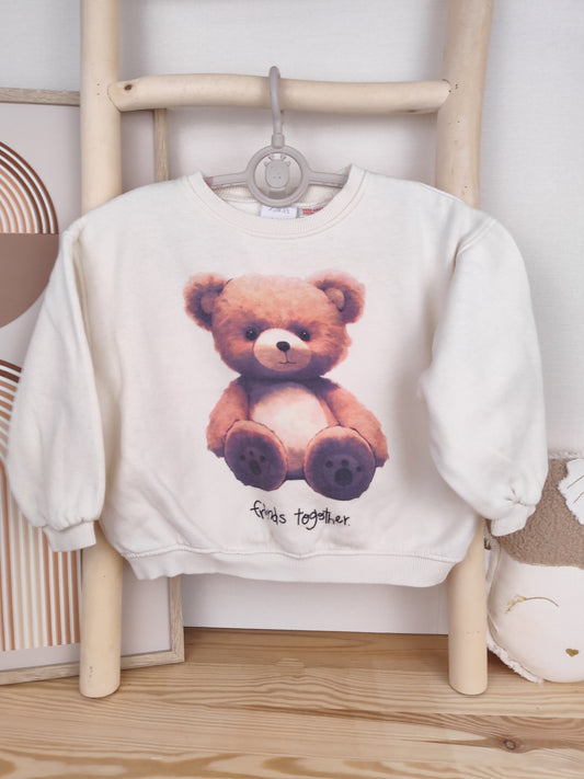 Zara Pullover - Teddy - 104